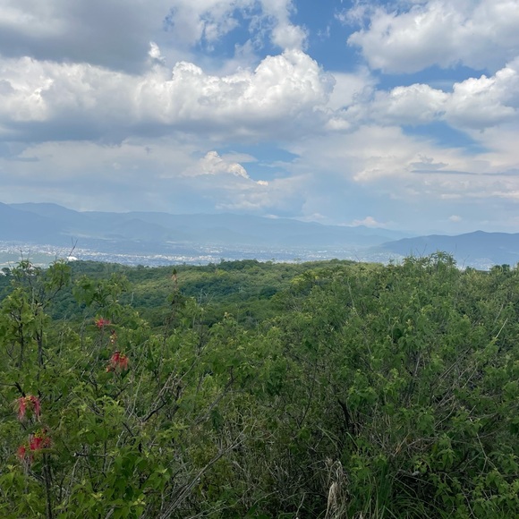 Meet your Posher, Crackgaming - Picture 1 of 1